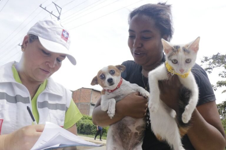 Sincelejo ama y protege a sus animales de compañía, una propuesta gubernamental para garantizar que perros y gatos estén exentos de rabia.